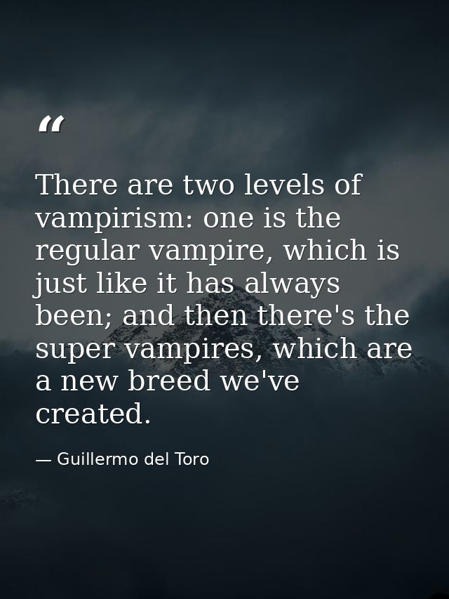 There are two levels of vampirism: one is the regular vampire, which is just like it has always been; and then there's t — Guillermo del Toro