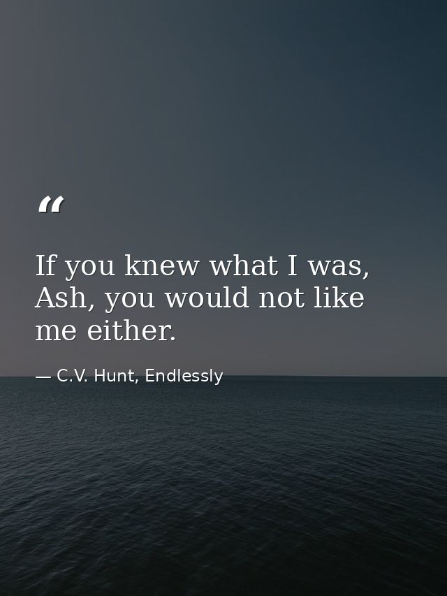 If you knew what I was, Ash, you would not like me either. — C.V. Hunt, Endlessly