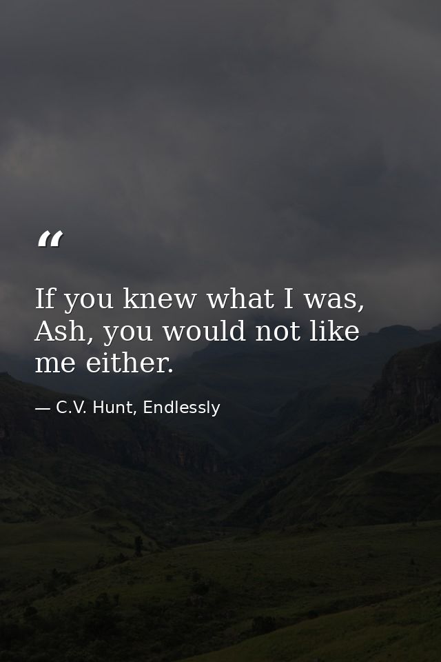 If you knew what I was, Ash, you would not like me either. — C.V. Hunt, Endlessly