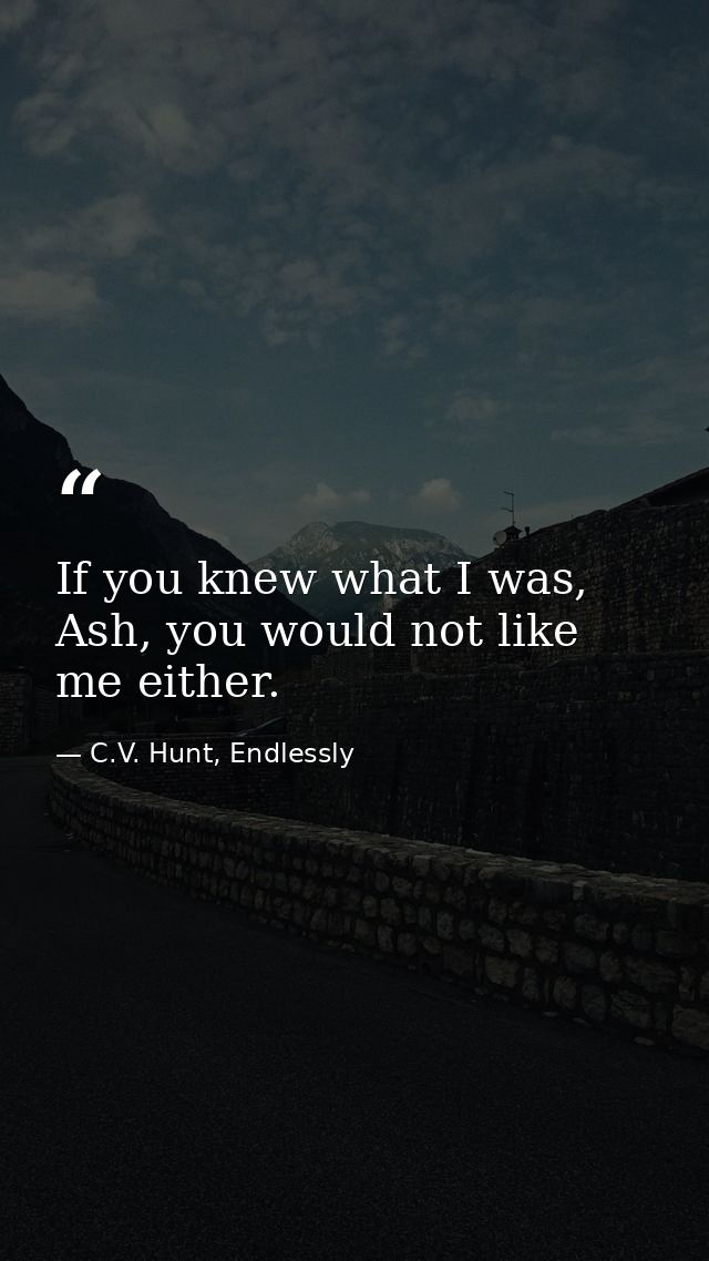 If you knew what I was, Ash, you would not like me either. — C.V. Hunt, Endlessly