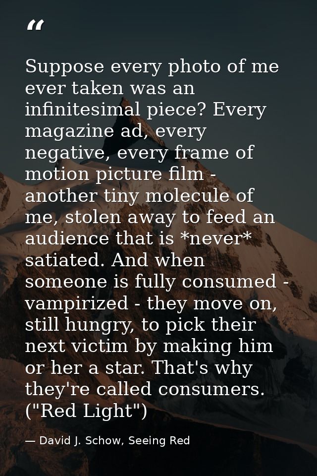 Suppose every photo of me ever taken was an infinitesimal piece? Every magazine ad, every negative, every frame of motio — David J. Schow, Seeing Red