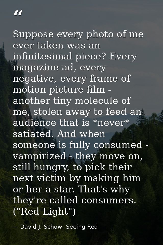 Suppose every photo of me ever taken was an infinitesimal piece? Every magazine ad, every negative, every frame of motio — David J. Schow, Seeing Red