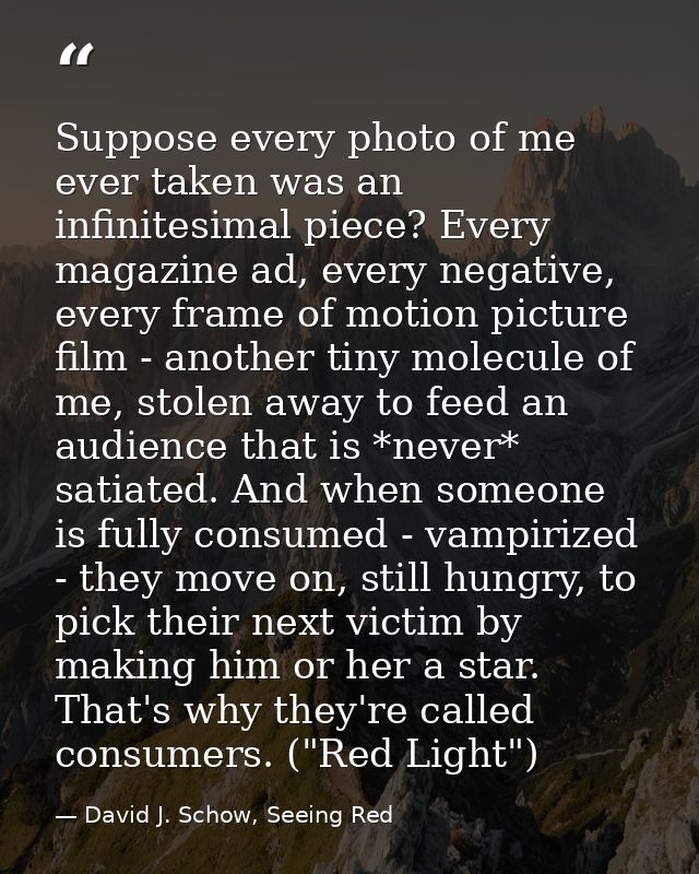 Suppose every photo of me ever taken was an infinitesimal piece? Every magazine ad, every negative, every frame of motio — David J. Schow, Seeing Red