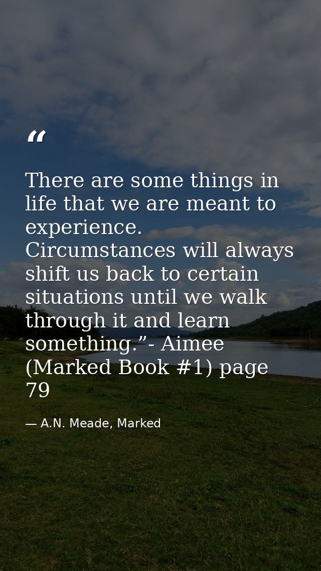 There are some things in life that we are meant to experience. Circumstances will always shift us back to certain situat — A.N. Meade, Marked