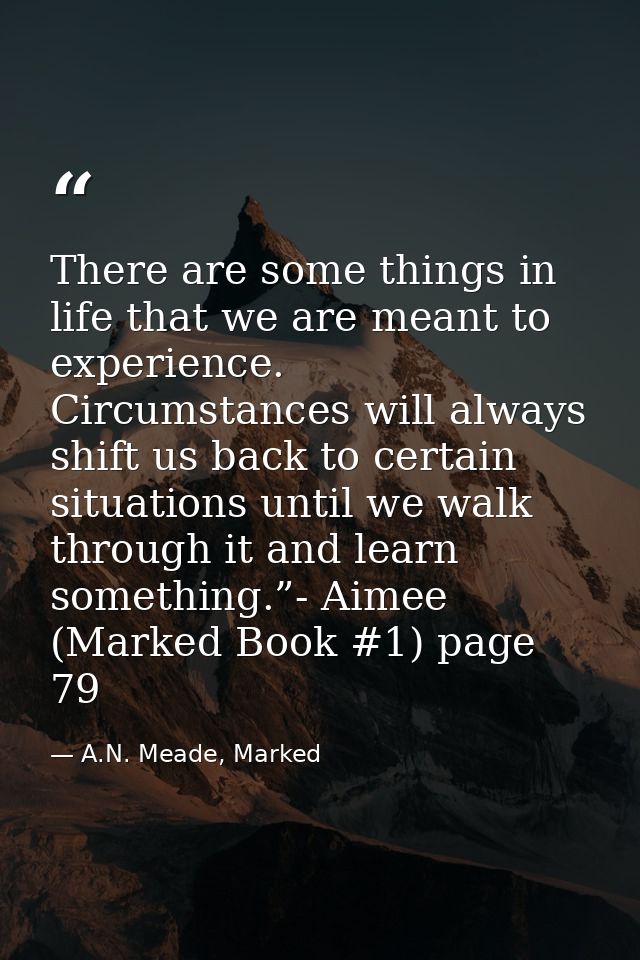 There are some things in life that we are meant to experience. Circumstances will always shift us back to certain situat — A.N. Meade, Marked