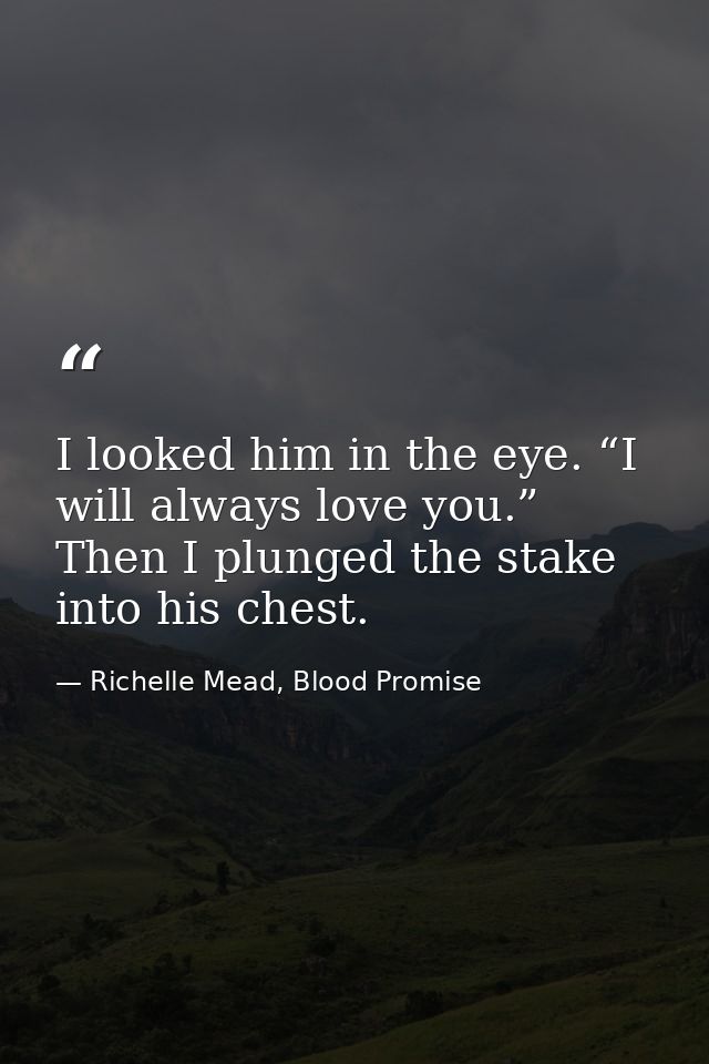 I looked him in the eye. “I will always love you.” Then I plunged the stake into his chest. — Richelle Mead, Blood Promise