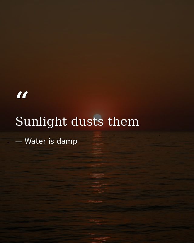 Sunlight dusts them — Water is damp