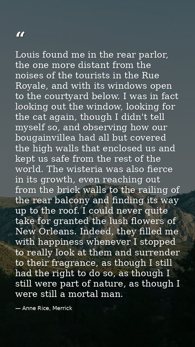 Louis found me in the rear parlor, the one more distant from the noises of the tourists in the Rue Royale, and with its  — Anne Rice, Merrick