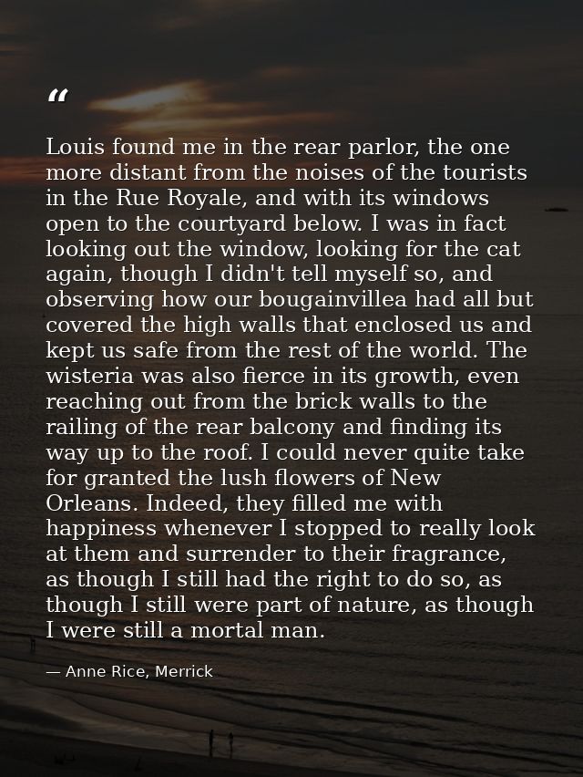 Louis found me in the rear parlor, the one more distant from the noises of the tourists in the Rue Royale, and with its  — Anne Rice, Merrick