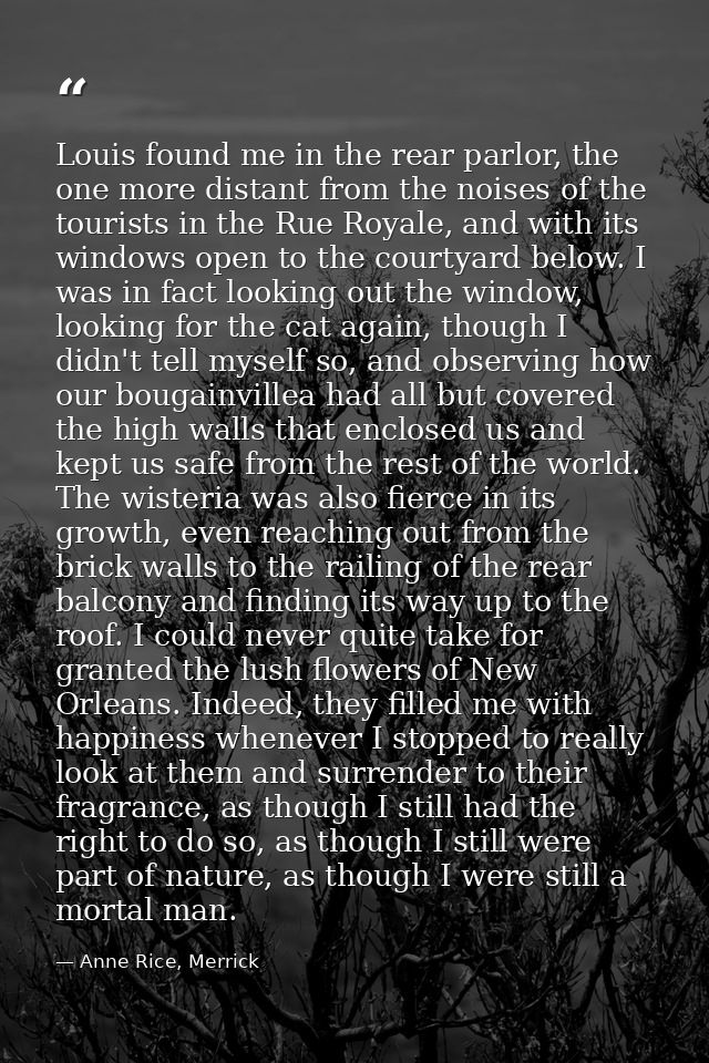 Louis found me in the rear parlor, the one more distant from the noises of the tourists in the Rue Royale, and with its  — Anne Rice, Merrick