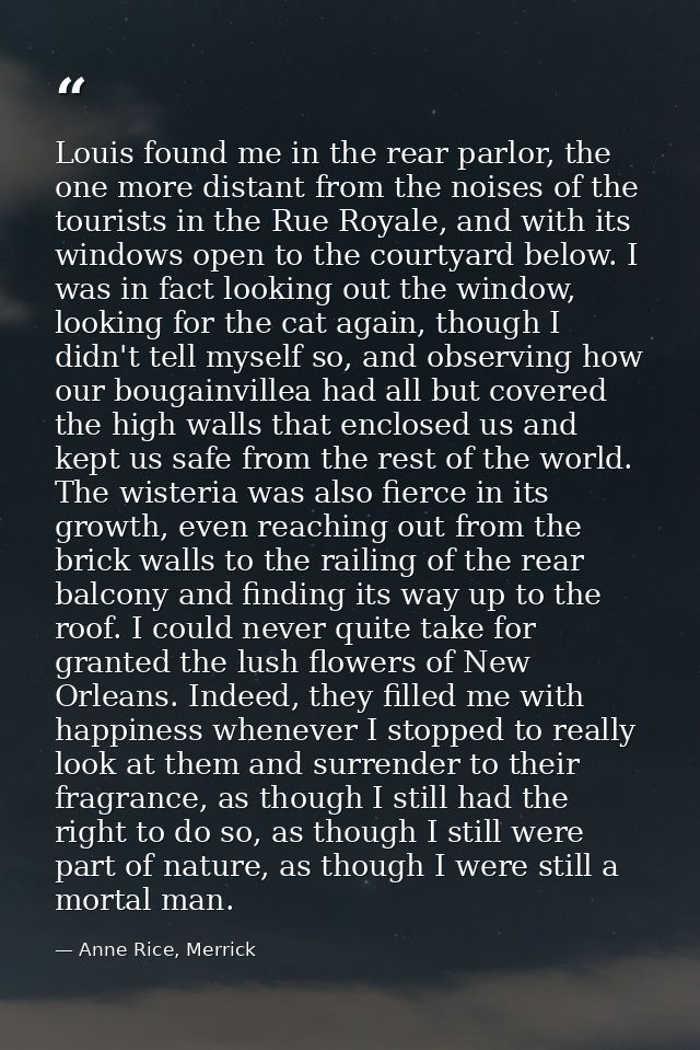 Louis found me in the rear parlor, the one more distant from the noises of the tourists in the Rue Royale, and with its  — Anne Rice, Merrick