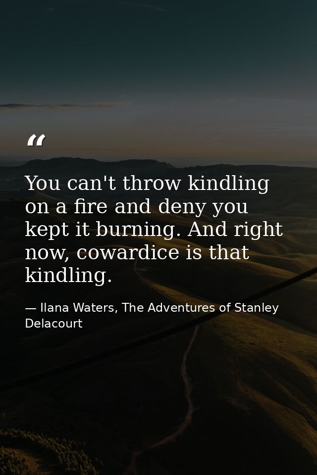 You can't throw kindling on a fire and deny you kept it burning. And right now, cowardice is that kindling. — Ilana Waters, The Adventures of Stanley Delacourt