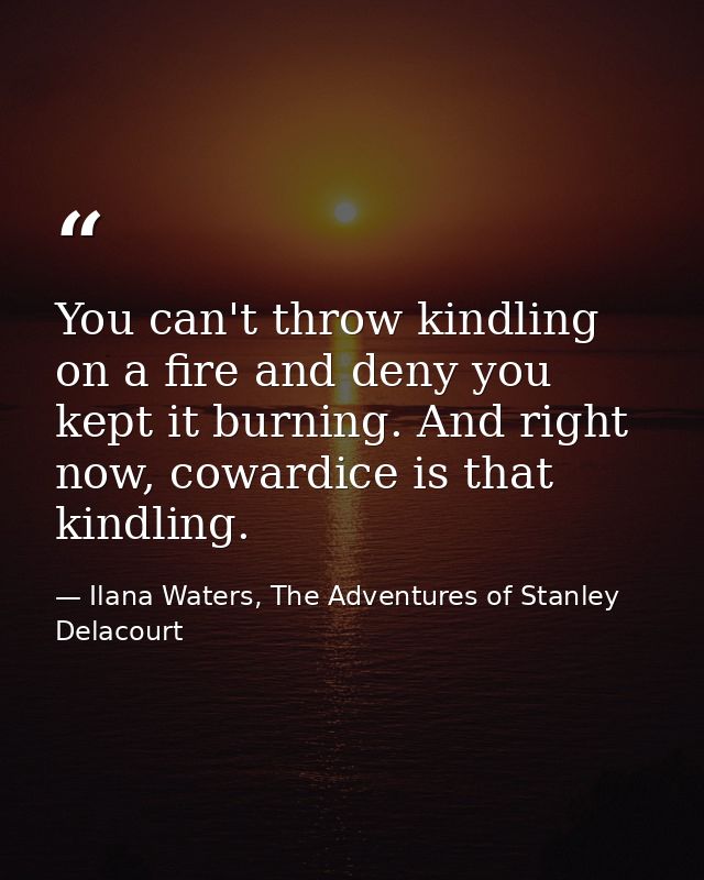 You can't throw kindling on a fire and deny you kept it burning. And right now, cowardice is that kindling. — Ilana Waters, The Adventures of Stanley Delacourt