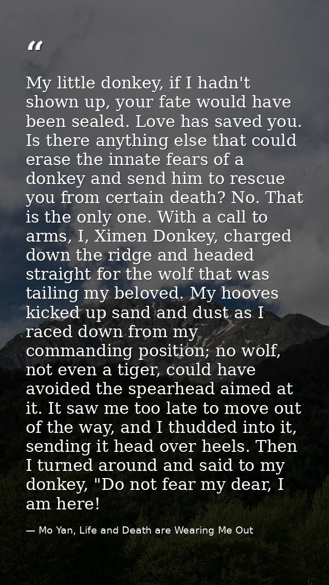 My little donkey, if I hadn't shown up, your fate would have been sealed. Love has saved you. Is there anything else tha — Mo Yan, Life and Death are Wearing Me Out