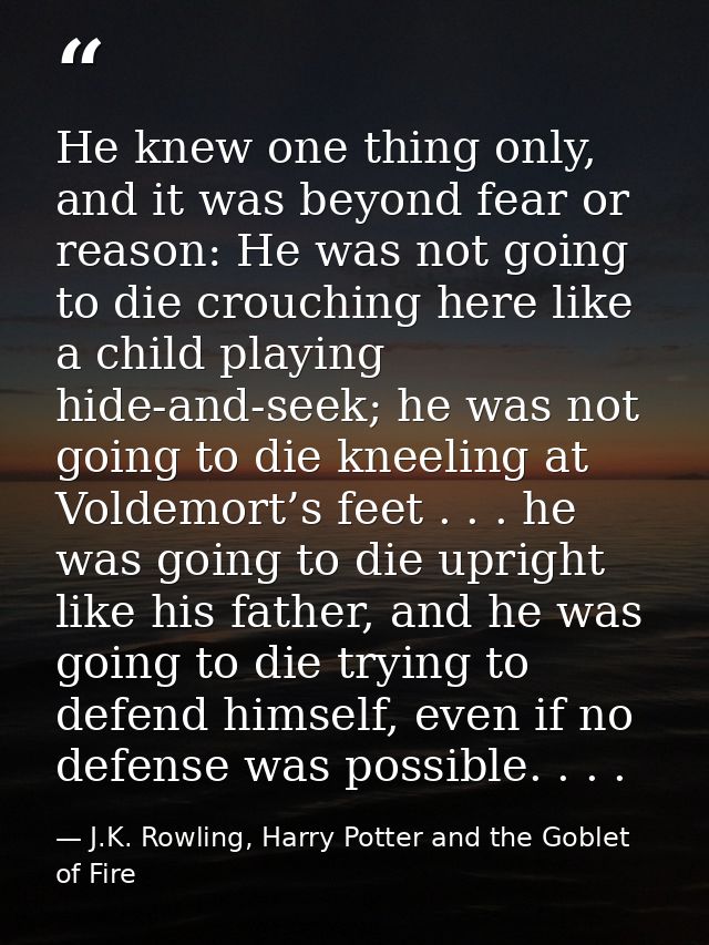 He knew one thing only, and it was beyond fear or reason: He was not going to die crouching here like a child playing hi — J.K. Rowling, Harry Potter and the Goblet of Fire