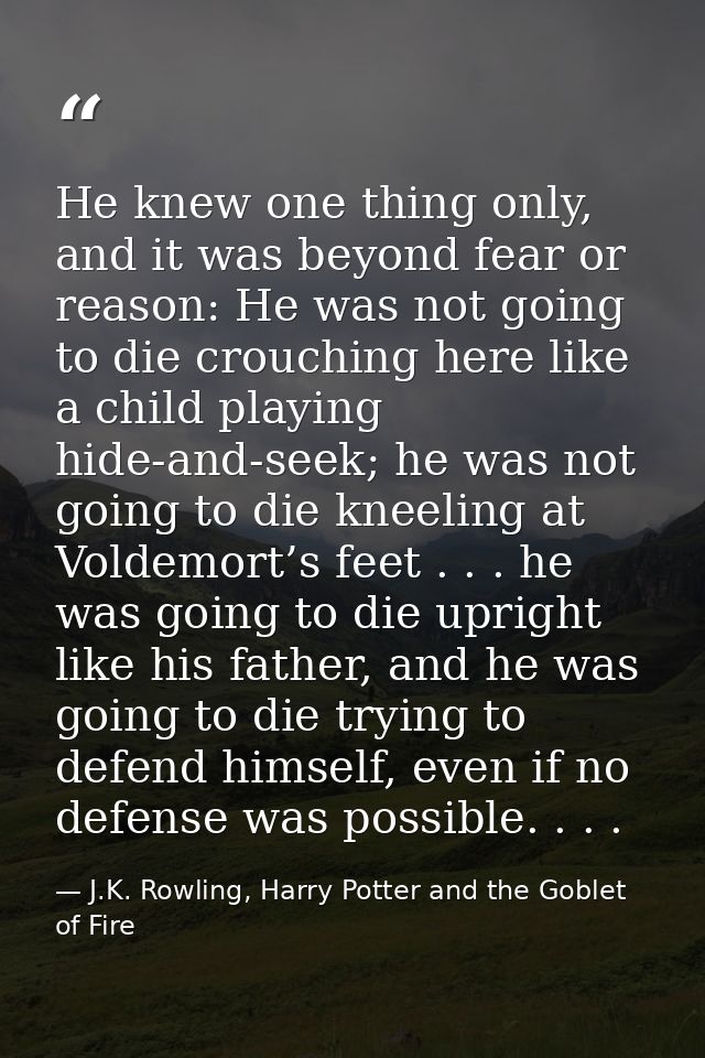 He knew one thing only, and it was beyond fear or reason: He was not going to die crouching here like a child playing hi — J.K. Rowling, Harry Potter and the Goblet of Fire