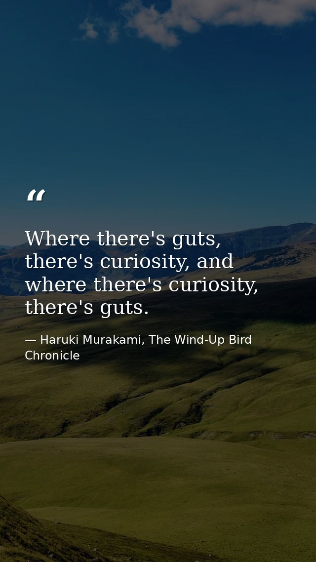 Where there's guts, there's curiosity, and where there's curiosity, there's guts. — Haruki Murakami, The Wind-Up Bird Chronicle