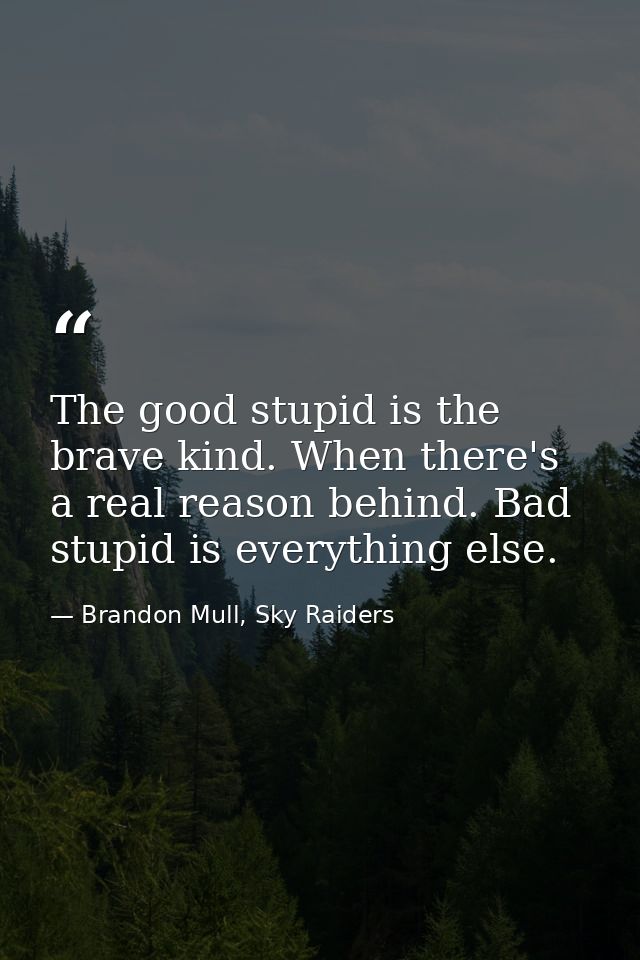The good stupid is the brave kind. When there's a real reason behind. Bad stupid is everything else. — Brandon Mull, Sky Raiders