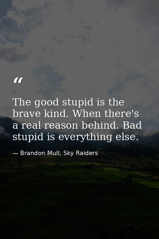 The good stupid is the brave kind. When there's a real reason behind. Bad stupid is everything else. — Brandon Mull, Sky Raiders