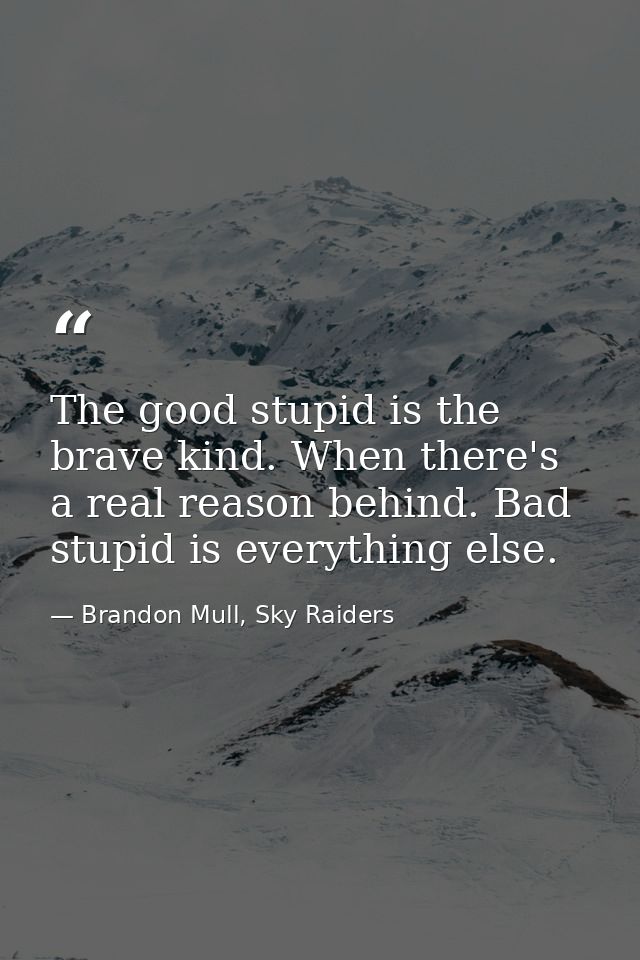 The good stupid is the brave kind. When there's a real reason behind. Bad stupid is everything else. — Brandon Mull, Sky Raiders