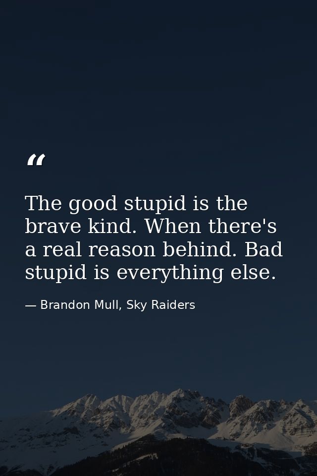 The good stupid is the brave kind. When there's a real reason behind. Bad stupid is everything else. — Brandon Mull, Sky Raiders