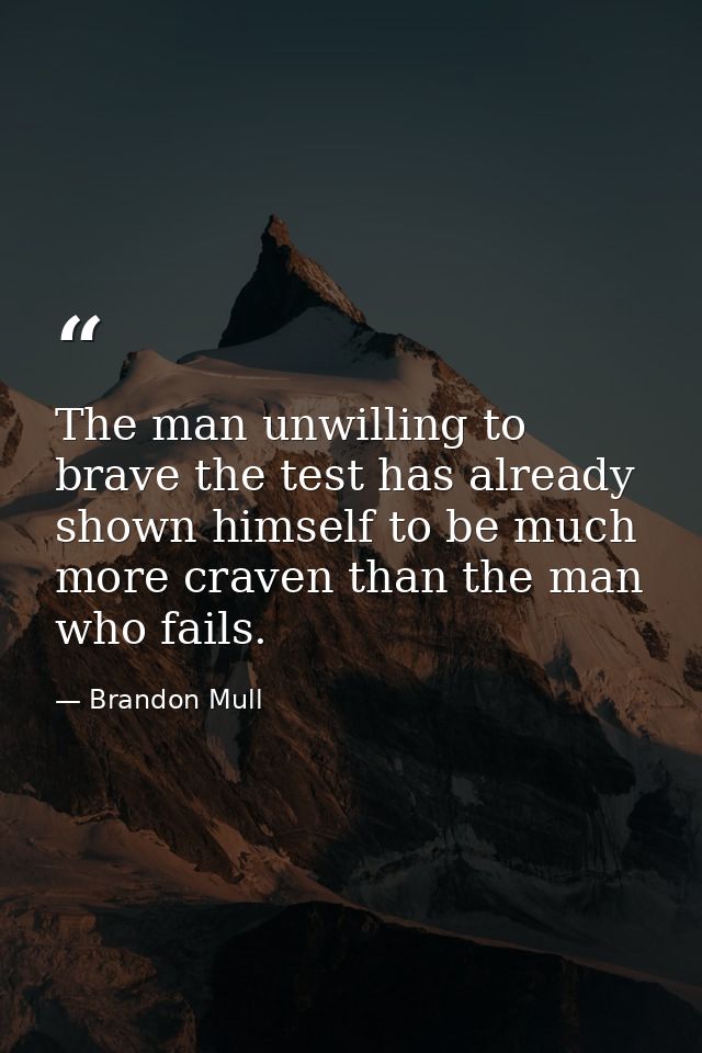 The man unwilling to brave the test has already shown himself to be much more craven than the man who fails. — Brandon Mull