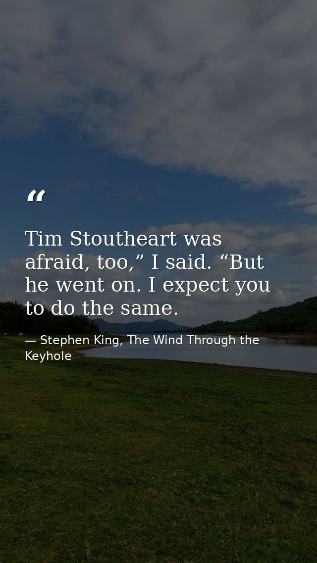 Tim Stoutheart was afraid, too,” I said. “But he went on. I expect you to do the same. — Stephen King, The Wind Through the Keyhole