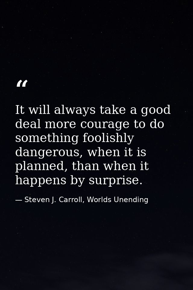 It will always take a good deal more courage to do something foolishly dangerous, when it is planned, than when it happe — Steven J. Carroll, Worlds Unending