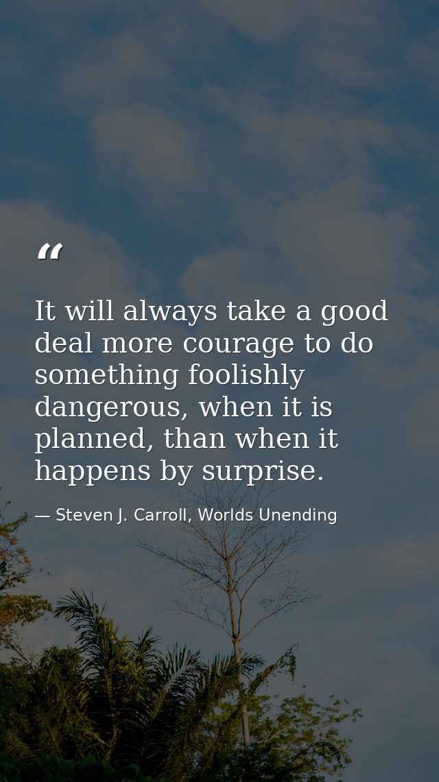 It will always take a good deal more courage to do something foolishly dangerous, when it is planned, than when it happe — Steven J. Carroll, Worlds Unending