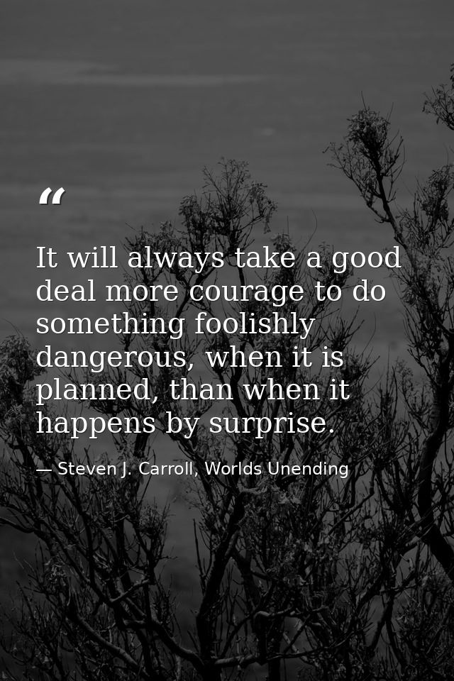 It will always take a good deal more courage to do something foolishly dangerous, when it is planned, than when it happe — Steven J. Carroll, Worlds Unending
