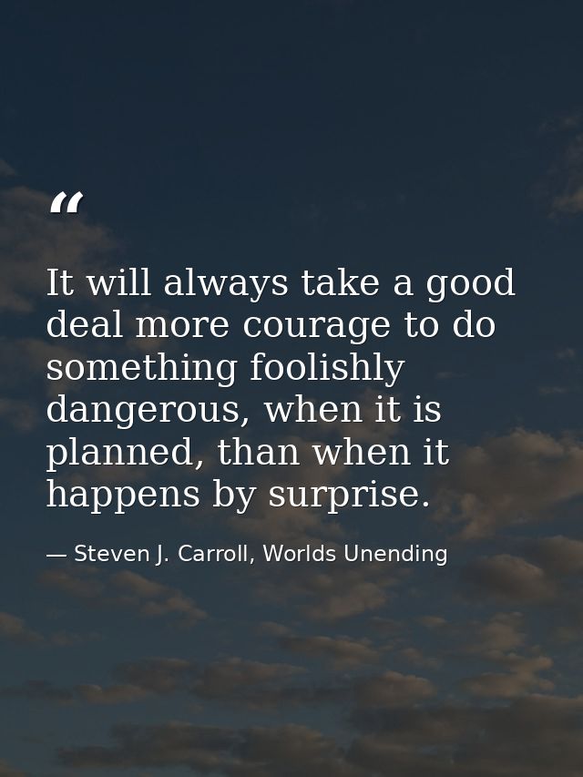 It will always take a good deal more courage to do something foolishly dangerous, when it is planned, than when it happe — Steven J. Carroll, Worlds Unending
