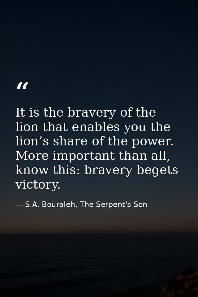 It is the bravery of the lion that enables you the lion’s share of the power. More important than all, know this: braver — S.A. Bouraleh, The Serpent's Son
