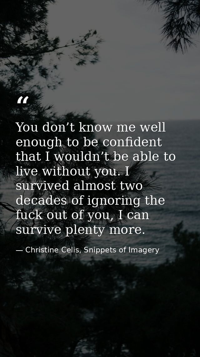 You don’t know me well enough to be confident that I wouldn’t be able to live without you. I survived almost two decades — Christine Celis, Snippets of Imagery