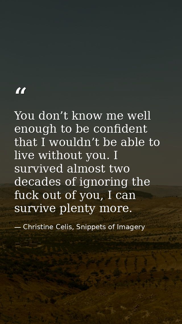 You don’t know me well enough to be confident that I wouldn’t be able to live without you. I survived almost two decades — Christine Celis, Snippets of Imagery