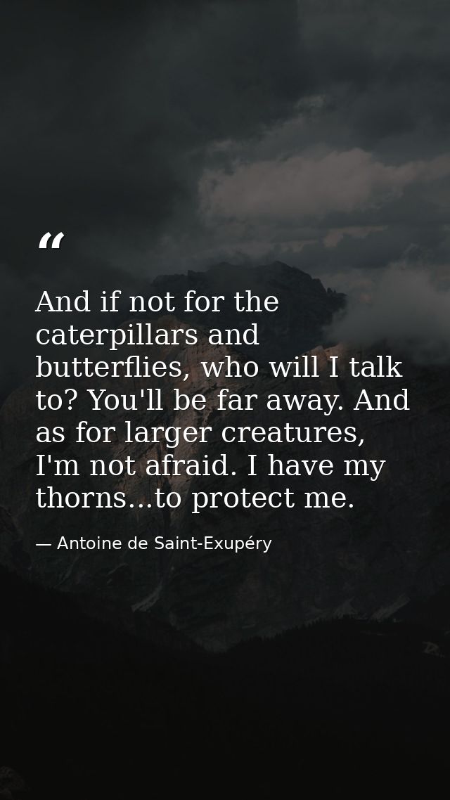 And if not for the caterpillars and butterflies, who will I talk to? You'll be far away. And as for larger creatures, I' — Antoine de Saint-Exupéry