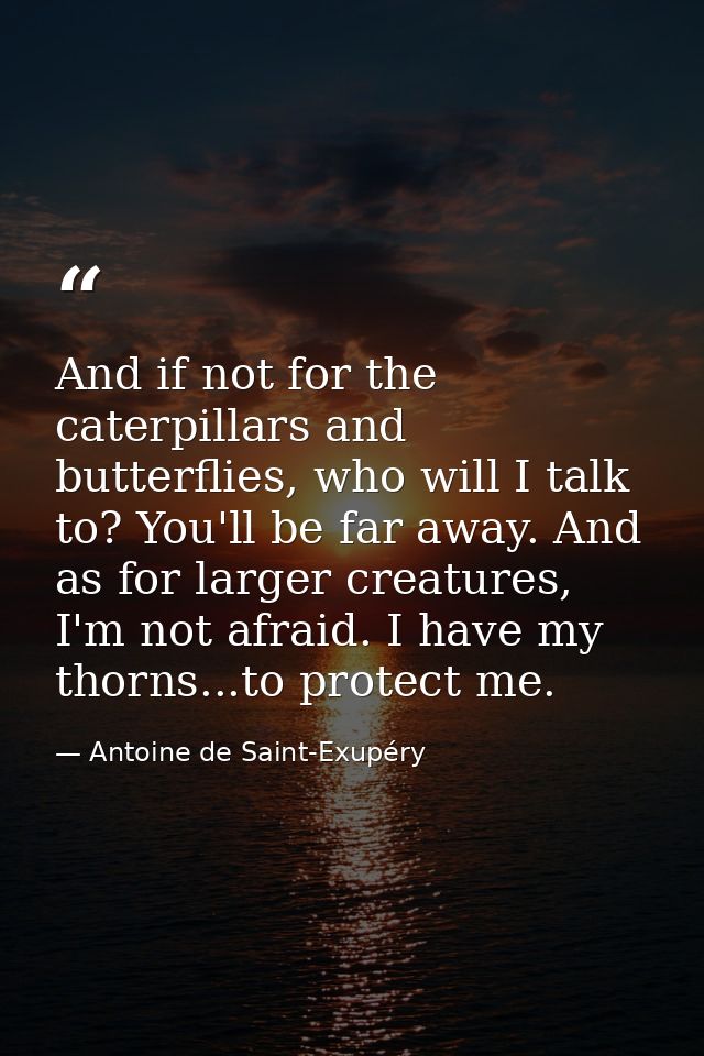 And if not for the caterpillars and butterflies, who will I talk to? You'll be far away. And as for larger creatures, I' — Antoine de Saint-Exupéry