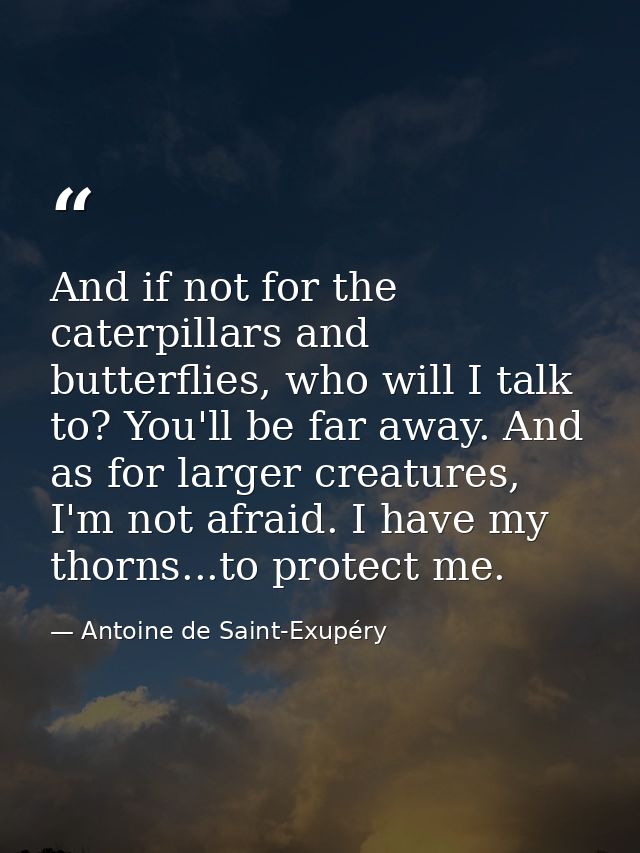 And if not for the caterpillars and butterflies, who will I talk to? You'll be far away. And as for larger creatures, I' — Antoine de Saint-Exupéry