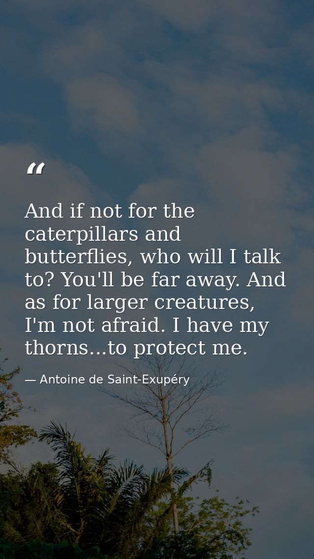 And if not for the caterpillars and butterflies, who will I talk to? You'll be far away. And as for larger creatures, I' — Antoine de Saint-Exupéry