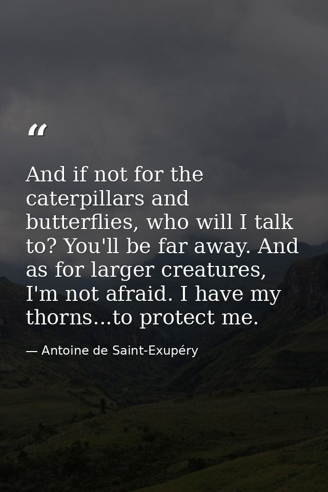 And if not for the caterpillars and butterflies, who will I talk to? You'll be far away. And as for larger creatures, I' — Antoine de Saint-Exupéry