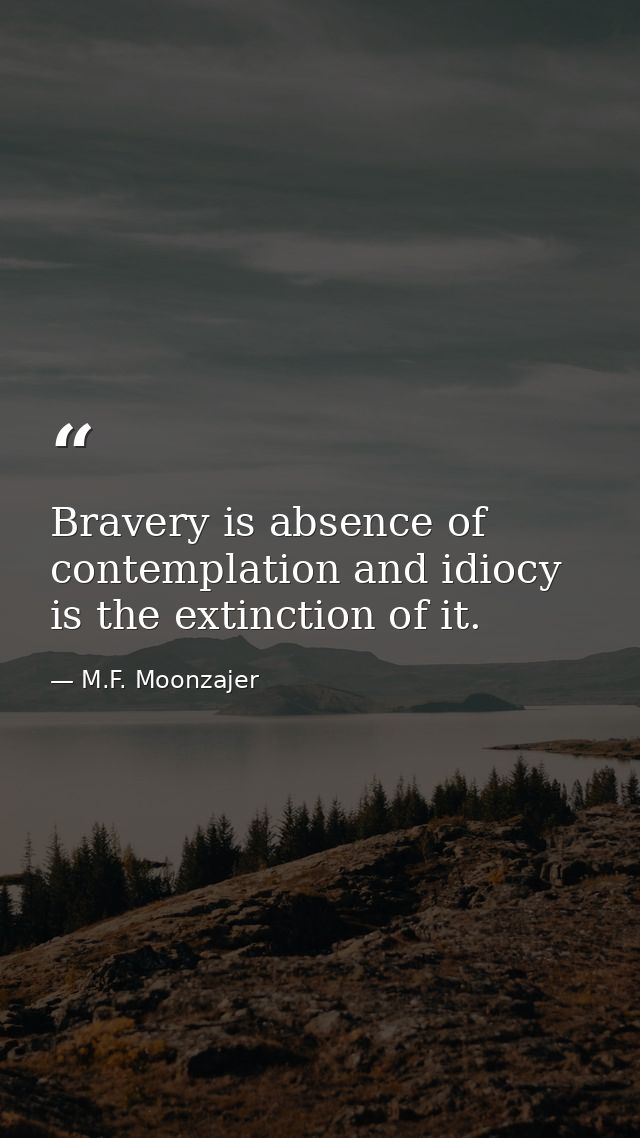 Bravery is absence of contemplation and idiocy is the extinction of it. — M.F. Moonzajer