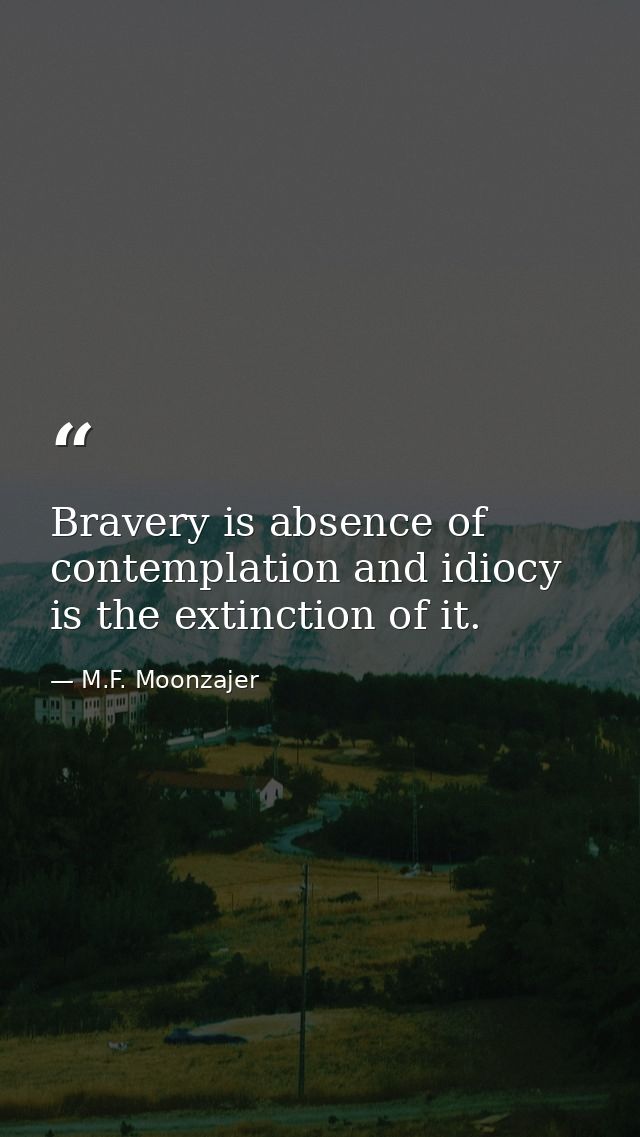 Bravery is absence of contemplation and idiocy is the extinction of it. — M.F. Moonzajer