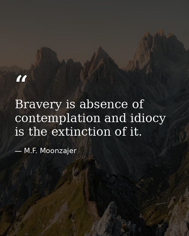 Bravery is absence of contemplation and idiocy is the extinction of it. — M.F. Moonzajer