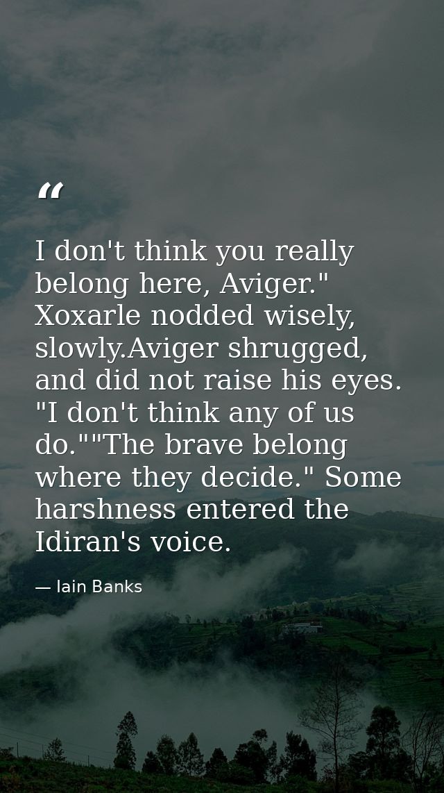 I don't think you really belong here, Aviger." Xoxarle nodded wisely, slowly.Aviger shrugged, and did not raise his eyes — Iain Banks