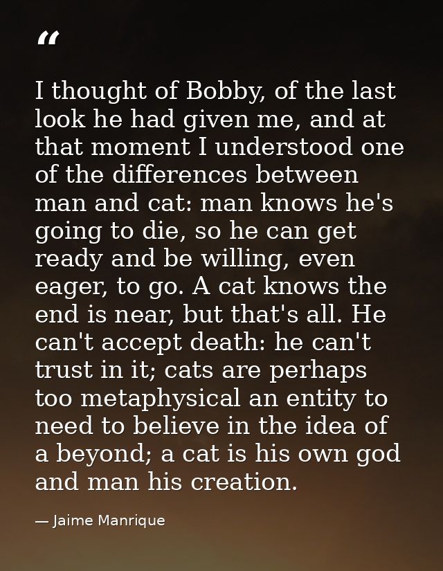 I thought of Bobby, of the last look he had given me, and at that moment I understood one of the differences between man — Jaime Manrique