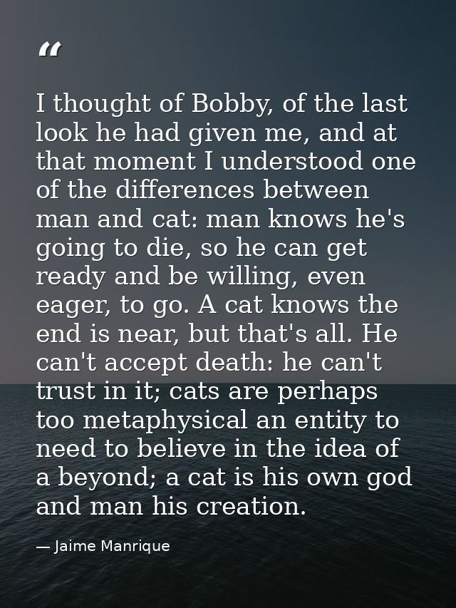I thought of Bobby, of the last look he had given me, and at that moment I understood one of the differences between man — Jaime Manrique