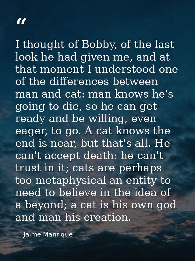 I thought of Bobby, of the last look he had given me, and at that moment I understood one of the differences between man — Jaime Manrique