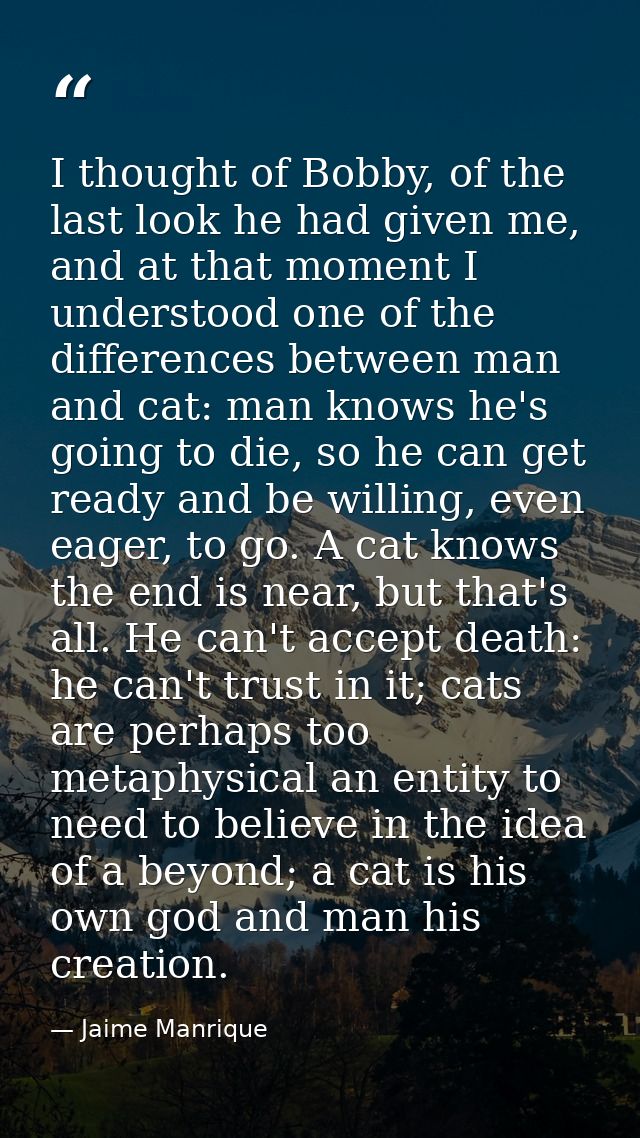 I thought of Bobby, of the last look he had given me, and at that moment I understood one of the differences between man — Jaime Manrique
