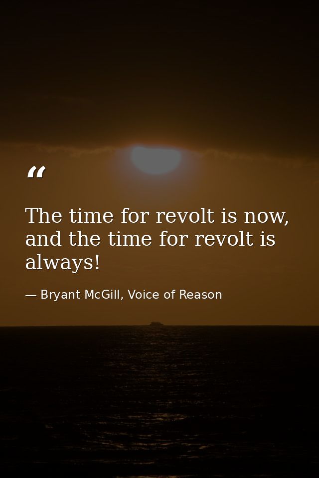 The time for revolt is now, and the time for revolt is always! — Bryant McGill, Voice of Reason