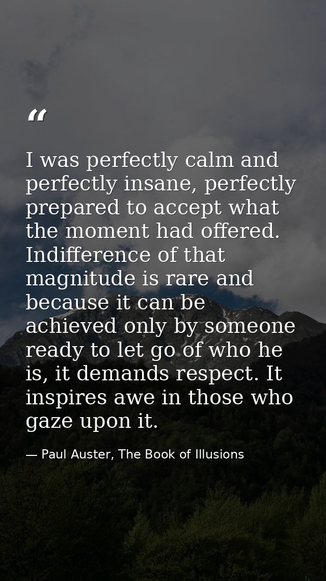 I was perfectly calm and perfectly insane, perfectly prepared to accept what the moment had offered. Indifference of tha — Paul Auster, The Book of Illusions