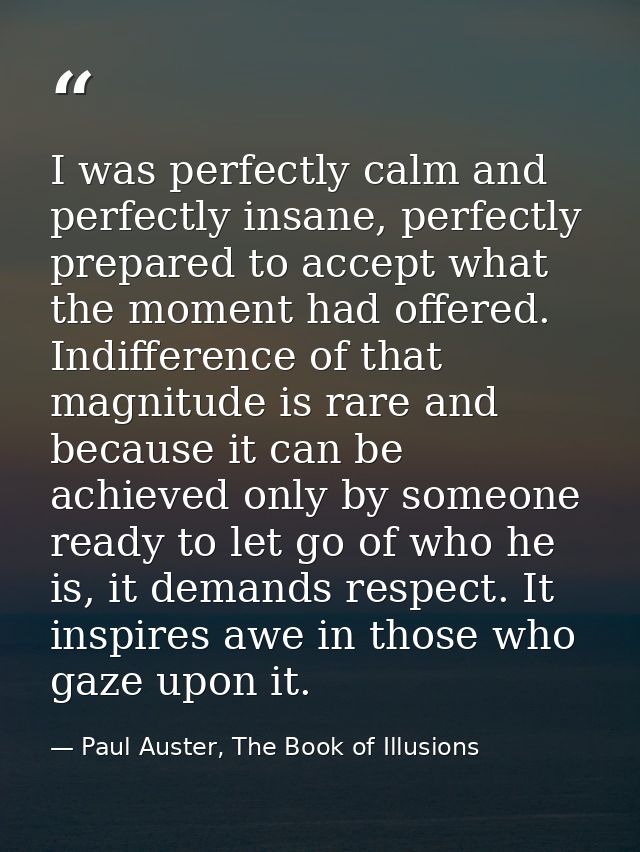 I was perfectly calm and perfectly insane, perfectly prepared to accept what the moment had offered. Indifference of tha — Paul Auster, The Book of Illusions